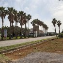 남원읍-32 이미지