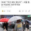 [속보] "우산 써도 젖는다"…서울 동남·서남권도 호우주의보 이미지