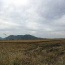 만덕농장 이미지