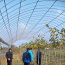 김주일농장 이미지