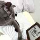 투머치 일상 블로거의 밀린 일상이야기