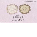 봄봄펫살롱 이미지