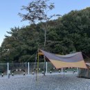 포레스트G1
