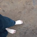 10월 14일 토요일 비 온 직후에도 맨발로 걷기(인천 남동구청 뒷산 경신산에서...) 이미지