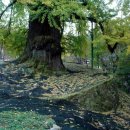 3차동부마트 이미지