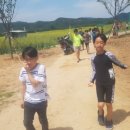 거창-고제-2 이미지