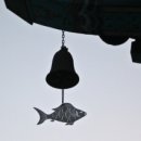 포근한맘요양병원 이미지