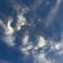 신혜약국 이미지