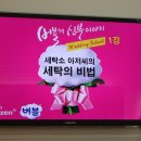 웨딩스쿨 결혼 이미지