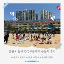 동해 초등학교 | 강원도 동해 ○○초등학교 운동회 진행 후기
