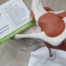 상동경희한의원 이미지