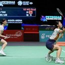 세계로체육관 이미지