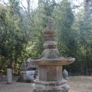 태안사 야영장 이미지