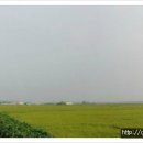 송탄농협고덕지점 이미지