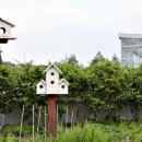 카페보리 이미지