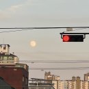 (주)오리엔탈컨설팅 | [디지털 마케터 취업 준비] 도와세움 디마에 69기 / 2주차 드디어 &#34;과제&#34;라는것이 왔도다…