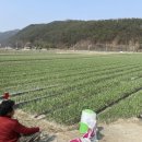 성군포차 이미지