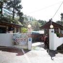 부산대구탕 네이버블로그