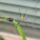 남도자동차공업사 이미지