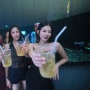 월드하우스 이미지