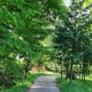 교룡산 둘레길 이미지