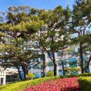 부경대학교 행복기숙사 | 부경대학교 5월의 봄의 정원 모습 담기 그라찌에카페