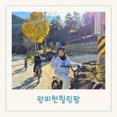 왕피천유역 생태탐방로(1코스) | 울진 촌캉스 숙소 왕피천계곡 펜션 아이들과 힐링여행 왕피천힐링팜