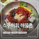 스쿠버해물촌 | 사천 맛집 스쿠버회 해물촌 사천읍 물회 후기 내돈내산