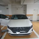 알마니 | 기장 에어컨청소 후기｜알마니클린 차량 에어컨 맡긴 솔직 기록