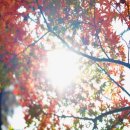 즐거운헬스타운 이미지