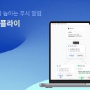 플라이