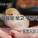 그 마음을 보고 구별하다. 이미지