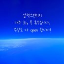 알렉스빈티지