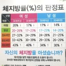S더핏점핑