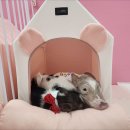 세종월드 이미지