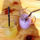 카페힐(CAFE HILL) 이미지