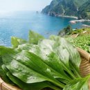 연지농장 이미지