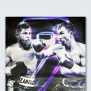 복싱홀릭 이미지