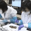 질병퇴치연구원 이미지