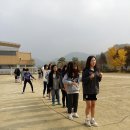 오룡제 네이버블로그