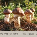 소나무푸드 이미지