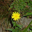 남해이야기 이미지