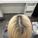레드플럼 | 수원염색잘하는매장 뿌리 짧다고 포기? 끊김 없이 플럼레드 완성후기