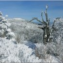 덕유산 눈꽃산행 (1614m)전북무주:(12.20일)/산림청.블랙야크100대명산 이미지