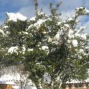 바람과 구름 이미지