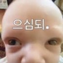 주식회사한국전자담배 | 무니코틴 전자담배 3종 <앤드퍼프, 오븐스 무니코틴, 누베제로> 내돈내산 후기