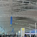 멀티오짐 | 코타키나발루 3박 5일 가족 여행 🌴🌺