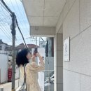 리본 윈도우