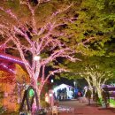 알프스펜션A 이미지