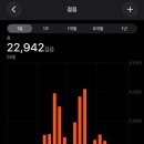 세종시민운동장 보조구장 | [카카오메이커스] 화담숲 패키지